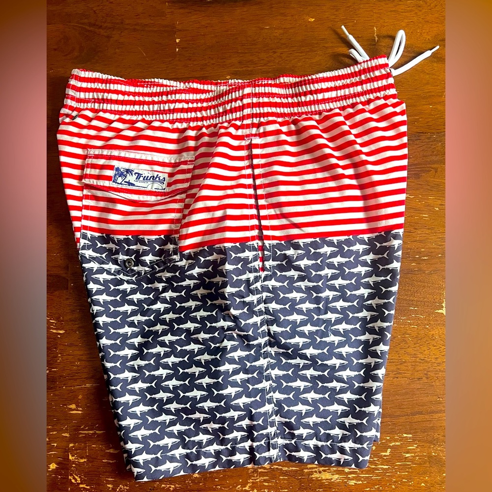 Swim Trunks - Picture 9 of 9